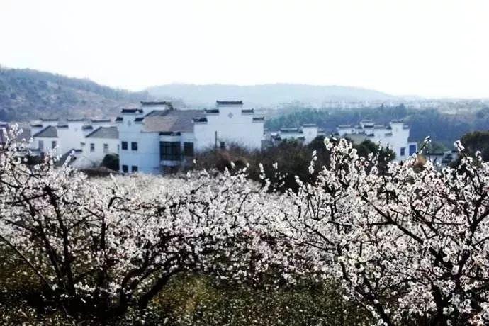埃及坟墓的秘密