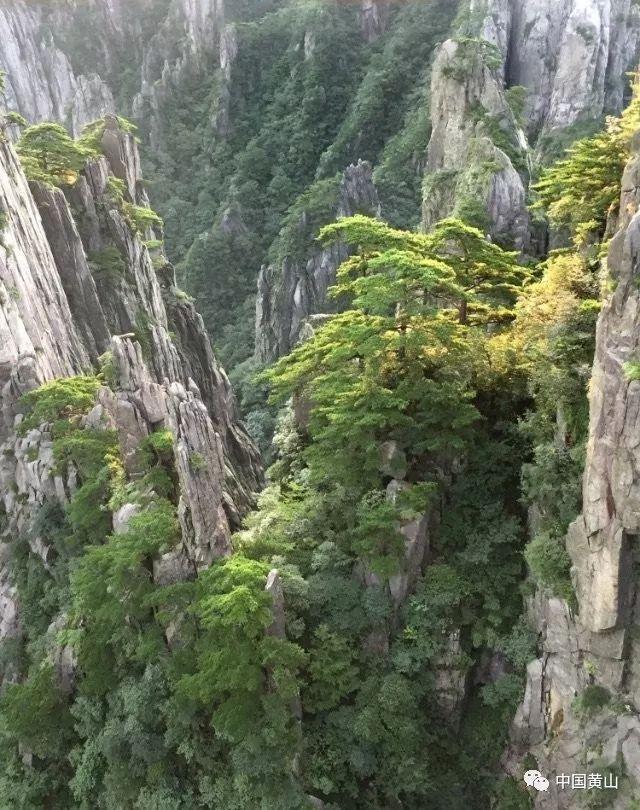 尔滨太热情！市民自制冰雕免费送尔滨周边带回家